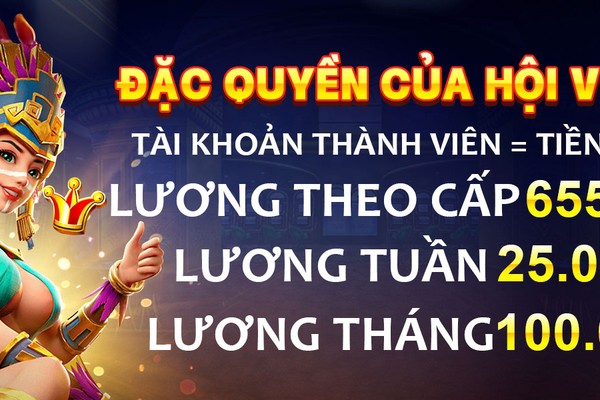 Chương trình VIP PG66