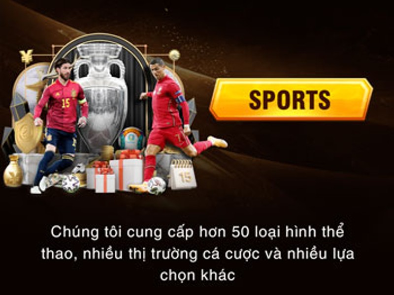 Cá cược thể thao PG66 với sân bóng đá